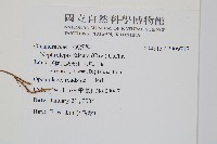 登錄號:P009747藏品圖，第2張