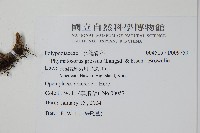 登錄號:P009750藏品圖，第2張