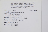 登錄號:P009756藏品圖，第2張