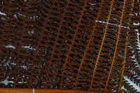 登錄號:P009762藏品圖，第6張