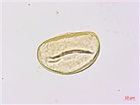 登錄號:P009762藏品圖，第3張