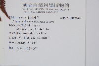 登錄號:P009765藏品圖，第2張