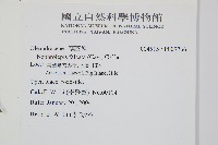 登錄號:P009766藏品圖，第2張