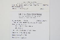 南海瓶蕨藏品圖，第2張