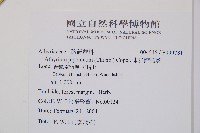 東洋蹄蓋蕨藏品圖，第2張