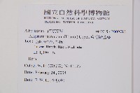 東洋蹄蓋蕨藏品圖，第2張