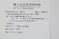 厚壁蕨藏品圖，第2張