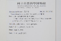 瓶蕨藏品圖，第2張