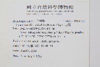 瓶蕨藏品圖，第2張