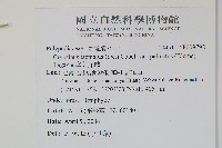 掌葉茀蕨藏品圖，第2張