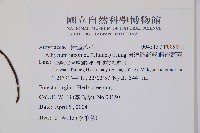 東洋蹄蓋蕨、假蹄蓋蕨藏品圖，第2張