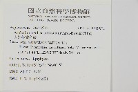 大黑柄鐵角蕨、黃鱗鐵角蕨、大羽鐵角蕨藏品圖，第2張