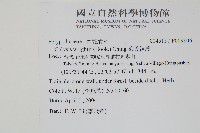 萊氏線蕨藏品圖，第2張