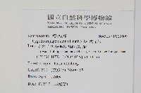 海金沙藏品圖，第2張
