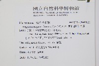 蘭嶼觀音座蓮藏品圖，第2張