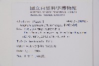 東洋蹄蓋蕨藏品圖，第2張