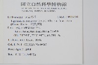 二羽達邊蕨藏品圖，第2張