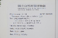 芒萁藏品圖，第2張