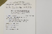 日本鳳丫蕨藏品圖，第5張