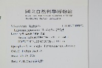 海金沙藏品圖，第2張