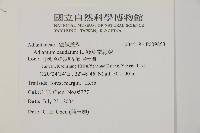 鞭葉鐵線蕨藏品圖，第2張