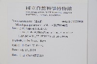 熱帶鱗蓋蕨藏品圖，第2張