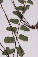 登錄號:P009855藏品圖，第5張