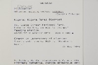 登錄號:P009856藏品圖，第2張