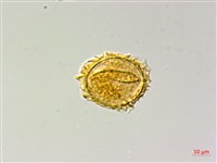 登錄號:P009857藏品圖，第3張