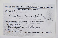 登錄號:P009860藏品圖，第2張