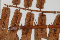 登錄號:P009860藏品圖，第4張