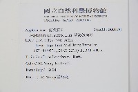 單邊鐵角蕨藏品圖，第2張