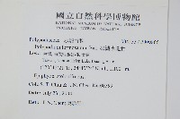 臺灣水龍骨藏品圖，第2張