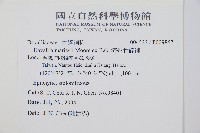 海州骨碎補藏品圖，第2張