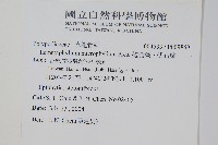 抱樹蕨、伏石蕨藏品圖，第2張