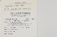 複齒鐵角蕨藏品圖，第2張