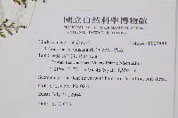 烏蕨藏品圖，第2張