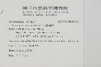 生芽鐵角蕨藏品圖，第2張