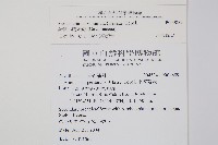 台灣小膜蓋蕨藏品圖，第2張