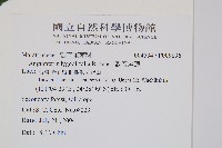 觀音座蓮藏品圖，第2張