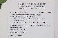 觀音座蓮藏品圖，第2張