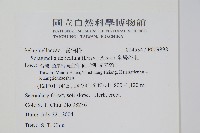 全緣卷柏藏品圖，第2張