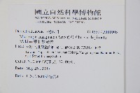 臺北鱗蓋蕨藏品圖，第2張