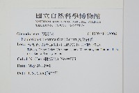 長葉腎蕨藏品圖，第2張