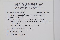 臺北鱗蓋蕨藏品圖，第2張