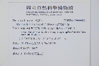 熱帶鱗蓋蕨藏品圖，第2張