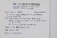 臺北鱗蓋蕨藏品圖，第2張