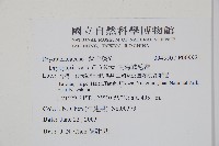 南海鱗毛蕨藏品圖，第2張