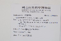 烏蕨藏品圖，第2張