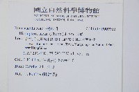 栗蕨藏品圖，第2張